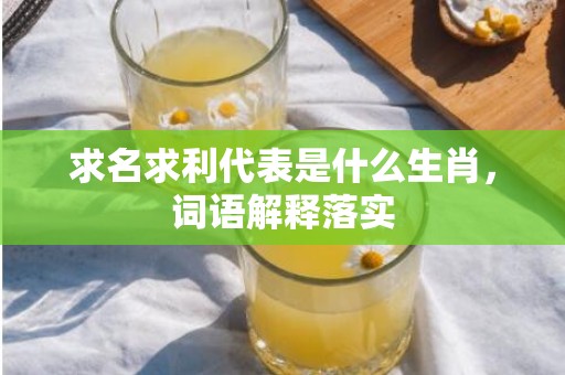 求名求利代表是什么生肖，词语解释落实