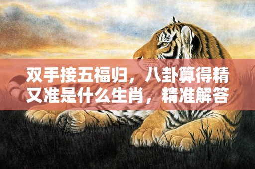 双手接五福归，八卦算得精又准是什么生肖，精准解答落实