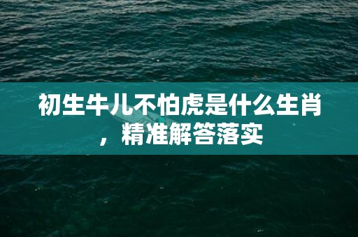初生牛儿不怕虎是什么生肖，精准解答落实