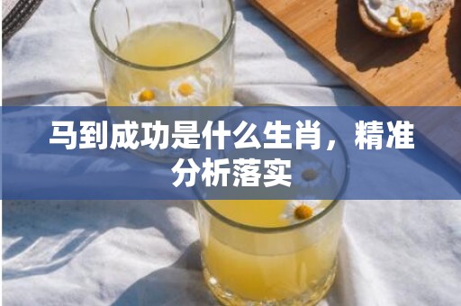 马到成功是什么生肖，精准分析落实