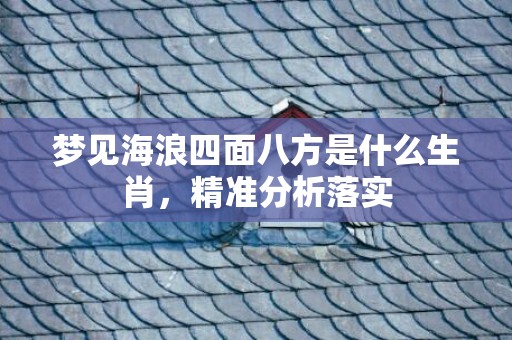 梦见海浪四面八方是什么生肖，精准分析落实