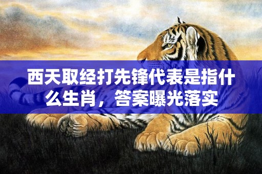 西天取经打先锋代表是指什么生肖，答案曝光落实