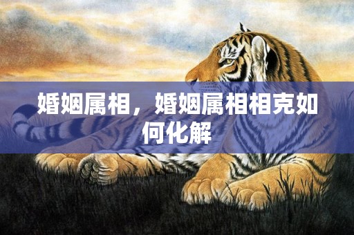 婚姻属相，婚姻属相相克如何化解