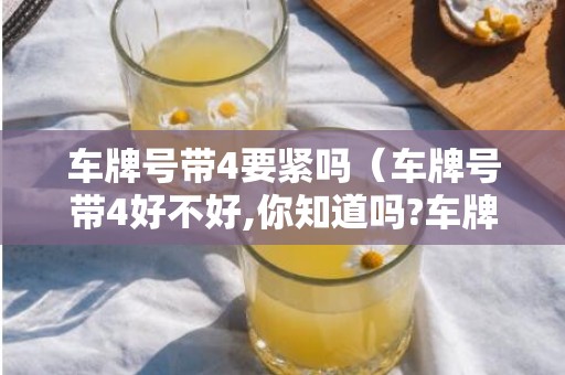 车牌号带4要紧吗（车牌号带4好不好,你知道吗?车牌号码带4有点纠结）