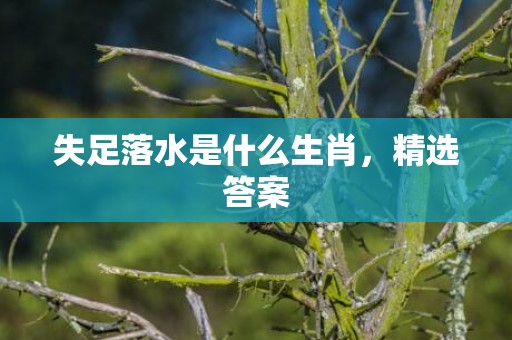 失足落水是什么生肖，精选答案
