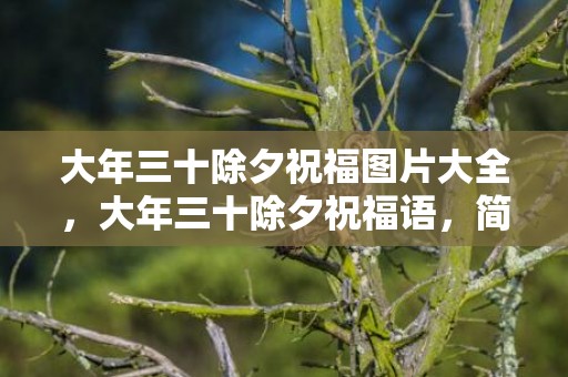 大年三十除夕祝福图片大全，大年三十除夕祝福语，简短有创意的拜年短句