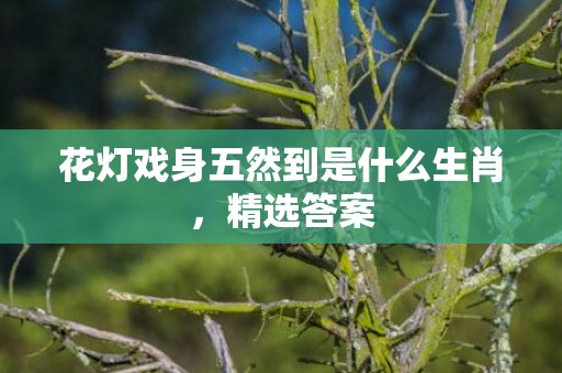 花灯戏身五然到是什么生肖，精选答案