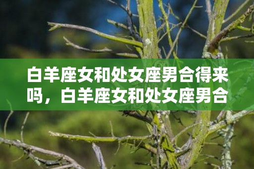 白羊座女和处女座男合得来吗，白羊座女和处女座男合适吗？处女白羊的性格分析