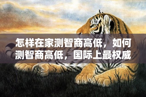 怎样在家测智商高低，如何测智商高低，国际上最权威的智力测量