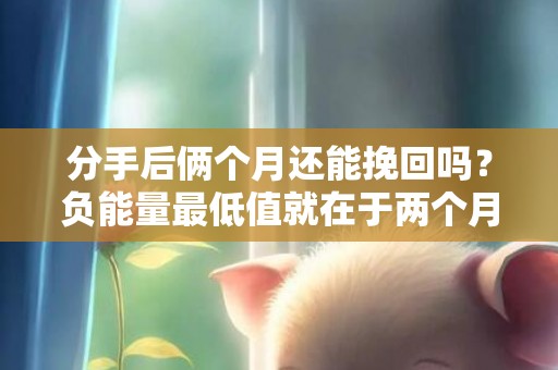 分手后俩个月还能挽回吗？负能量最低值就在于两个月！