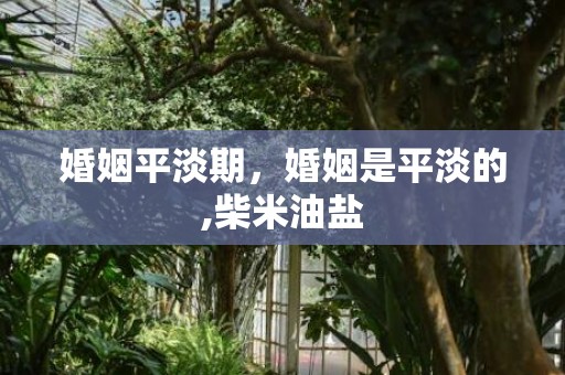 婚姻平淡期，婚姻是平淡的,柴米油盐