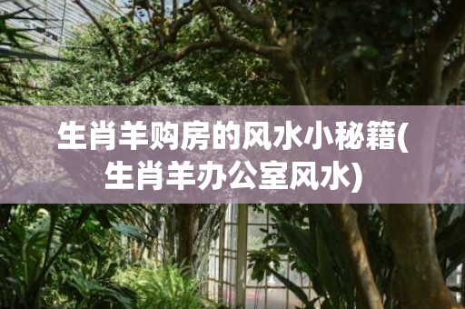 生肖羊购房的风水小秘籍(生肖羊办公室风水)