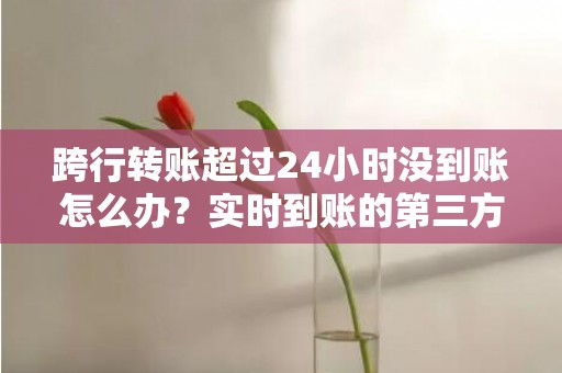 跨行转账超过24小时没到账怎么办？实时到账的第三方支付平台