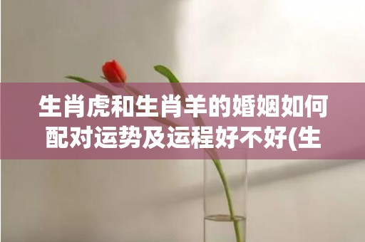 生肖虎和生肖羊的婚姻如何配对运势及运程好不好(生肖虎和羊能否配夫妻)
