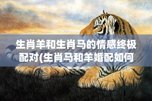 生肖羊和生肖马的情感终极配对(生肖马和羊婚配如何)