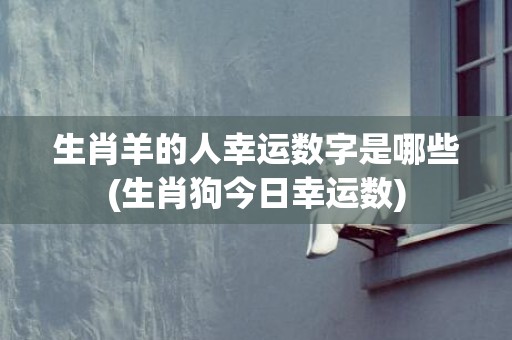 生肖羊的人幸运数字是哪些(生肖狗今日幸运数)