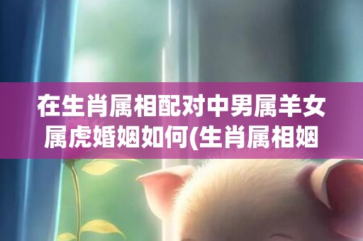在生肖属相配对中男属羊女属虎婚姻如何(生肖属相姻缘配对)