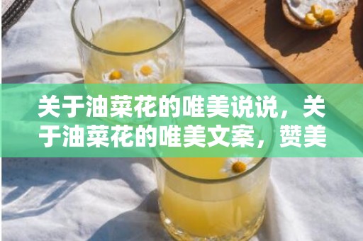 关于油菜花的唯美说说，关于油菜花的唯美文案，赞美油菜花的抒情短句