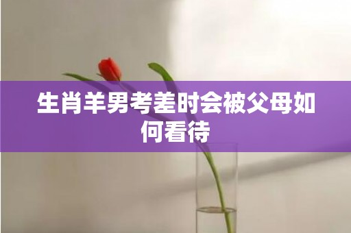 生肖羊男考差时会被父母如何看待