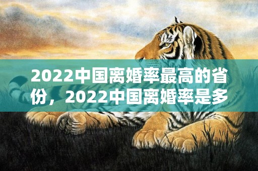 2022中国离婚率最高的省份，2022中国离婚率是多少，80后离婚率高还是90后离婚率高?