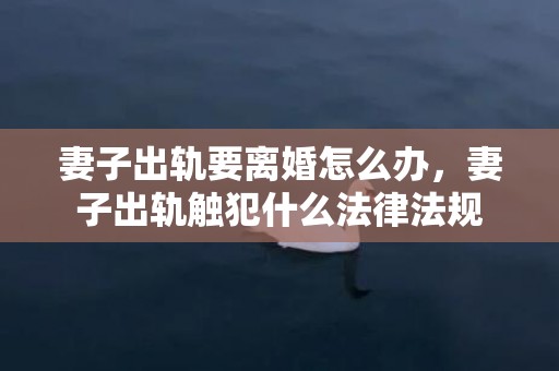 妻子出轨要离婚怎么办，妻子出轨触犯什么法律法规