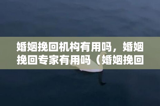 婚姻挽回机构有用吗，婚姻挽回专家有用吗（婚姻挽回真的有用吗）