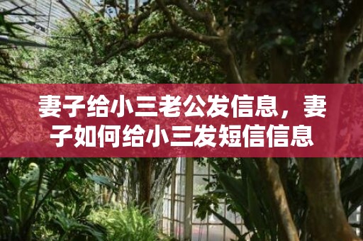 妻子给小三老公发信息，妻子如何给小三发短信信息