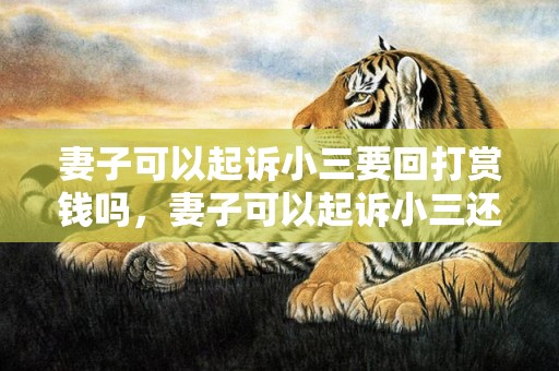 妻子可以起诉小三要回打赏钱吗，妻子可以起诉小三还钱吗