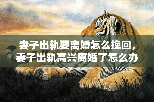 妻子出轨要离婚怎么挽回，妻子出轨高兴离婚了怎么办