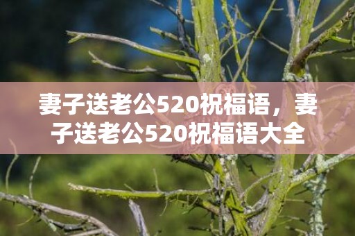 妻子送老公520祝福语，妻子送老公520祝福语大全