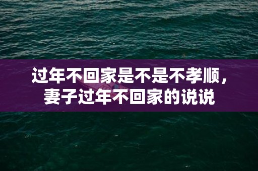过年不回家是不是不孝顺，妻子过年不回家的说说