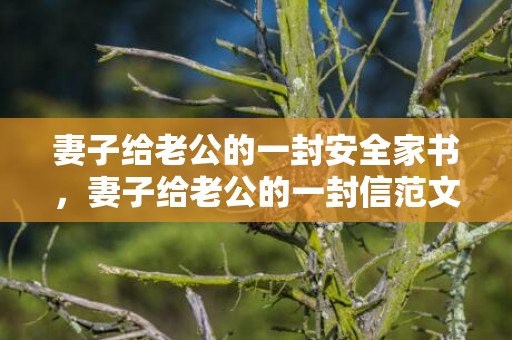 妻子给老公的一封安全家书，妻子给老公的一封信范文