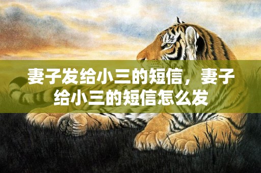 妻子发给小三的短信，妻子给小三的短信怎么发
