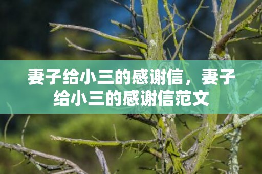 妻子给小三的感谢信，妻子给小三的感谢信范文