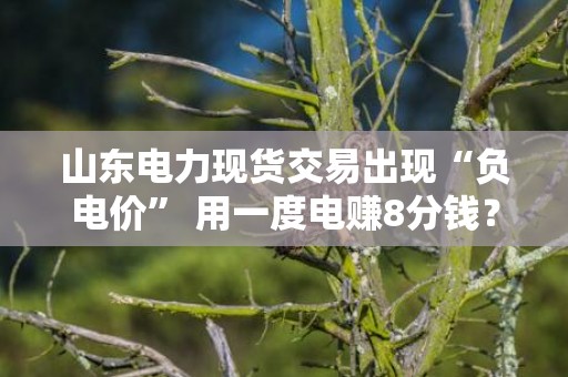 山东电力现货交易出现“负电价” 用一度电赚8分钱？
