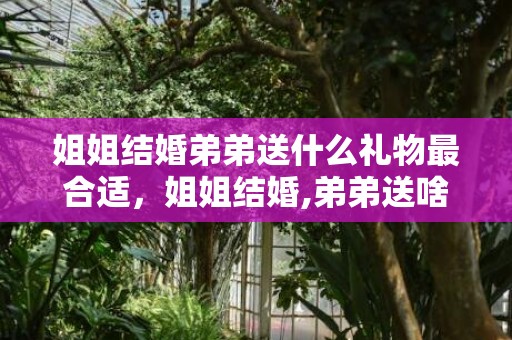 姐姐结婚弟弟送什么礼物最合适，姐姐结婚,弟弟送啥礼物
