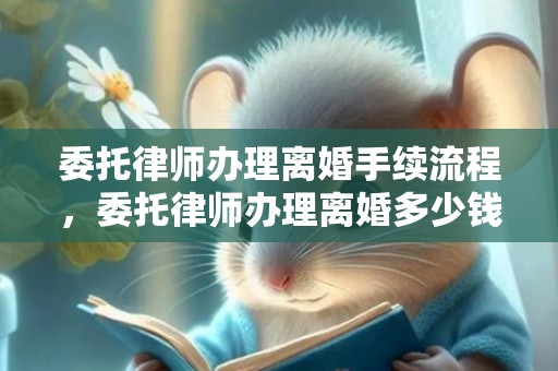 委托律师办理离婚手续流程，委托律师办理离婚多少钱