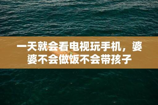 一天就会看电视玩手机，婆婆不会做饭不会带孩子