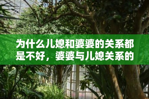 为什么儿媳和婆婆的关系都是不好，婆婆与儿媳关系的称谓
