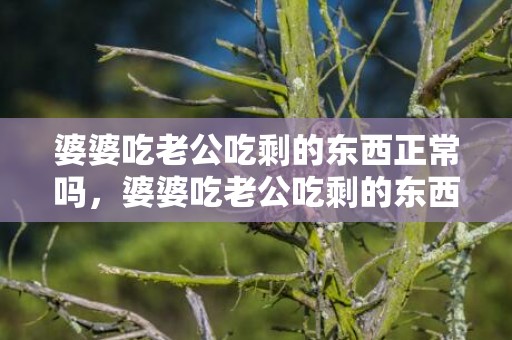 婆婆吃老公吃剩的东西正常吗，婆婆吃老公吃剩的东西