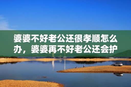 婆婆不好老公还很孝顺怎么办，婆婆再不好老公还会护着
