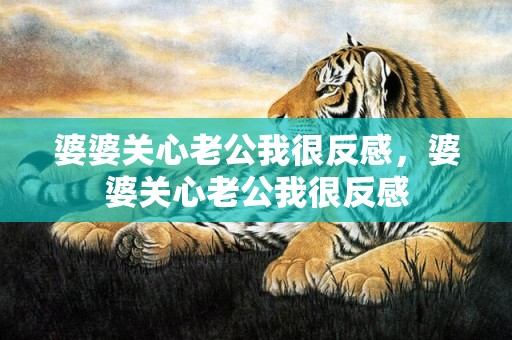 婆婆关心老公我很反感，婆婆关心老公我很反感