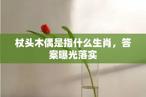 杖头木偶是指什么生肖，答案曝光落实