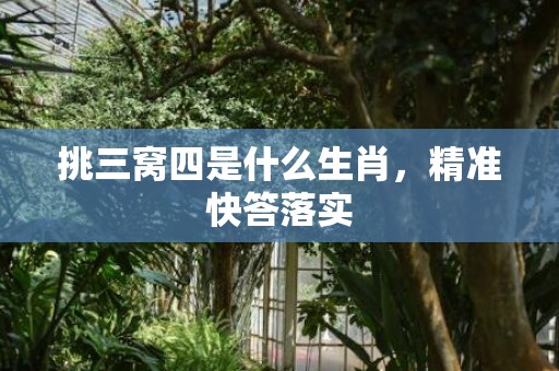 挑三窝四是什么生肖，精准快答落实