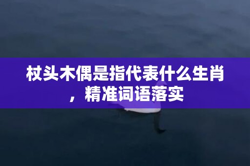 杖头木偶是指代表什么生肖，精准词语落实