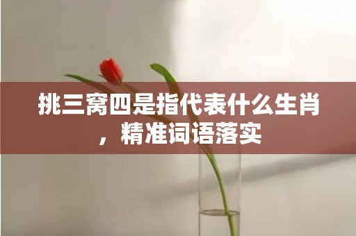 挑三窝四是指代表什么生肖，精准词语落实