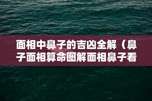 面相中鼻子的吉凶全解（鼻子面相算命图解面相鼻子看相大全）