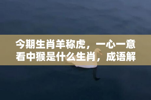 今期生肖羊称虎，一心一意看中猴是什么生肖，成语解答落实