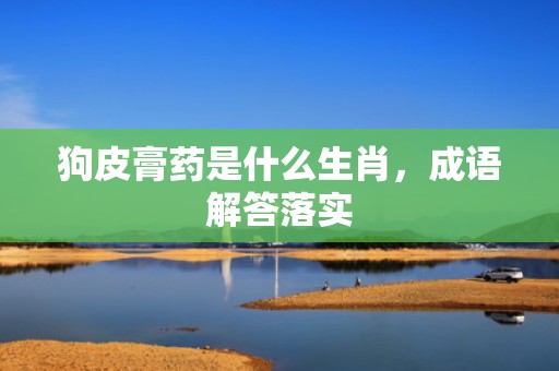 狗皮膏药是什么生肖，成语解答落实
