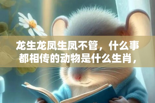 龙生龙凤生凤不管，什么事都相传的动物是什么生肖，成语解答落实